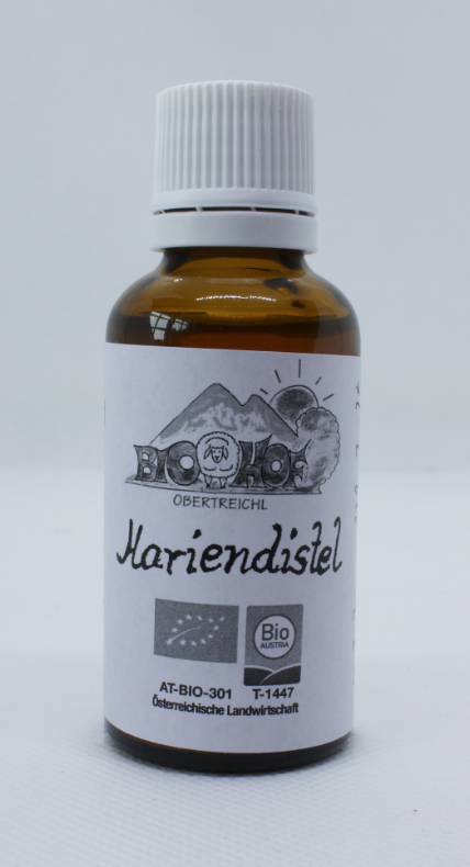 Mariendistel